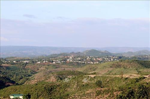 Phần lớn đất tái định canh bị đánh giá là kém màu mỡ, độ dốc lớn, không phù hợp sản xuất nông nghiệp.Ảnh: Hưng Thịnh - TTXVN