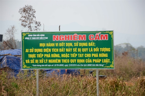 Tấm bảng cảnh báo chỉ được dựng lên sau khi hàng trăm ha rừng đã bị xóa sổ.