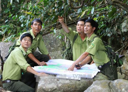 Cán bộ, nhân viên Khu Bảo tồn Thiên nhiên Tà Đùng (Đắk Nông) làm tốt công tác bảo vệ rừng . Ảnh: Dương Giang -TTXVN Cán bộ, nhân viên Khu Bảo tồn Thiên nhiên Tà Đùng (Đắk Nông) làm tốt công tác bảo vệ rừng . Ảnh: Dương Giang -TTXVN