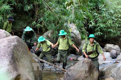 Cán bộ, nhân viên khu bảo tồn tuần tra bào vệ khu vực rừng ở Tà Đùng (Đắk Nông). Ảnh: Dương Giang -TTXVN Cán bộ, nhân viên khu bảo tồn tuần tra bào vệ khu vực rừng ở Tà Đùng (Đắk Nông). Ảnh: Dương Giang -TTXVN