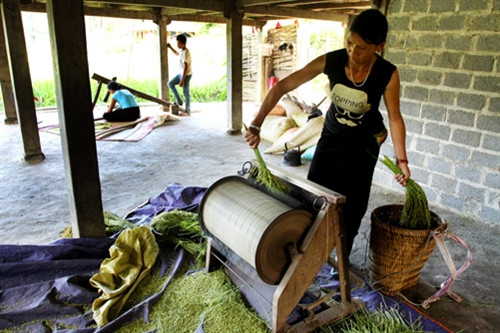 Đặc sản cốm Tú Lệ ảnh 1