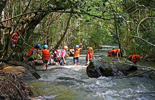 Trên hành trình chinh phục các con thác, du khách sẽ khám phá khu rừng nhiệt đới của Đà Lạt Trên hành trình chinh phục các con thác, du khách sẽ khám phá khu rừng nhiệt đới của Đà Lạt