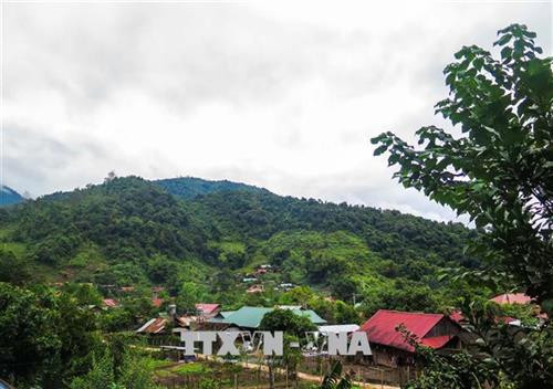 Sín Thầu là xã biên giới vùng cao nằm ở cực Tây của huyện Mường Nhé, tỉnh Điện Biên. Ảnh: Xuân Tư - TTXVN Sín Thầu là xã biên giới vùng cao nằm ở cực Tây của huyện Mường Nhé, tỉnh Điện Biên. Ảnh: Xuân Tư - TTXVN