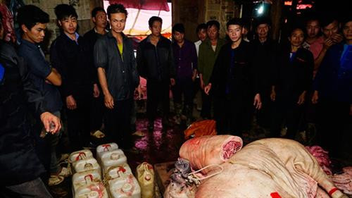 Nhà trai mổ lợn, chuẩn bị mang 100kg thịt đến nhà gái - Ảnh: Ngọc Bằng Bên nhà trai chuẩn bị cơm nước - Ảnh: Ngọc Bằng Nhà trai đưa đồ lễ gồm 6 người mang rượu thịt để nhà gái tổ chức lễ cưới mời anh em họ hàng trong làng tới dự đám cưới - Ảnh: Ngọc Bằng Phong tục té nước của nhà gái vào đoàn nhà trai với mong muốn hai vợ chồng hạnh phúc - Ảnh: Ngọc Bằng Nhà trai bàn giao rượu và thịt lợn cho nhà gái - Ảnh: Ngọc Bằng Ngày thứ hai, đoàn nhà trai mang lễ vật đến và dự cưới bên nhà gái - Ảnh: Ngọc Bằng Đoàn nhà gái té nước làm lễ cho nhà trai - Ảnh: Ngọc Bằng Họ hàng ăn uống vui vẻ - Ảnh: Ngọc Bằng Giao lễ vật - Ảnh: Ngọc Bằng Thầy cúng làm lễ - Ảnh: Ngọc Bằng Chuẩn bị trang phục cho cô dâu - Ảnh: Ngọc Bằng Cô dâu được bế lên ngựa để về nhà trai - Ảnh: Ngọc Bằng Chú rể quỳ làm lễ khi hai vợ chồng về nhà trai - Ảnh: Ngọc Bằng Chú rể cởi khăn bịt mặt cho cô dâu - Ảnh: Ngọc Bằng Đám cưới tổ chức tại nhà trai rất vui vẻ - Ảnh: Ngọc Bằng