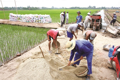 Cải tạo, nâng cấp đường giao thông nội đồng tại xã Tân Hội