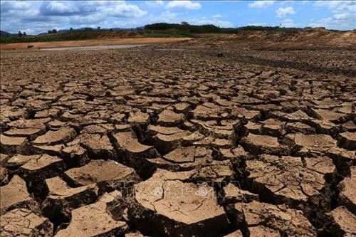 Hồ thủy lợi Ea Kpal bị cạn trơ đáy do hạn hán. Ảnh: Tuấn Anh – TTXVN Hồ thủy lợi Ea Kpal bị cạn trơ đáy do hạn hán. Ảnh: Tuấn Anh – TTXVN