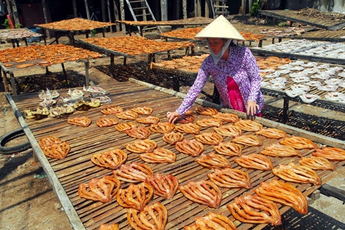 Cá lóc khô Châu Đốc, món đặc sản của người miền Tây. Cá lóc khô Châu Đốc, món đặc sản của người miền Tây.