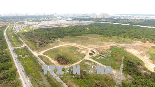 Khu đất hơn 32 ha được Công ty Tân Thuận chuyển nhượng không đúng quy định cho Công ty Quốc Cường Gia Lai. Ảnh: TTXVN phát