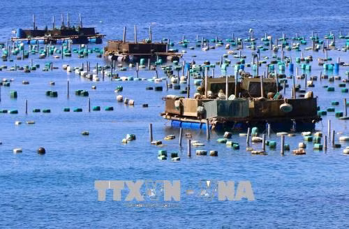 Những lồng, bè nuôi thủy sản ở huyện Tuy An (Phú Yên). Ảnh: Thế Lập - TTXVN