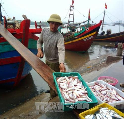 Khai thác thủy sản trên biển là nghề chính của nhiều người dân tại các địa phương ven biển Nghệ An. Ảnh: Thanh Tùng - TTXVN Khai thác thủy sản trên biển là nghề chính của nhiều người dân tại các địa phương ven biển Nghệ An. Ảnh: Thanh Tùng - TTXVN