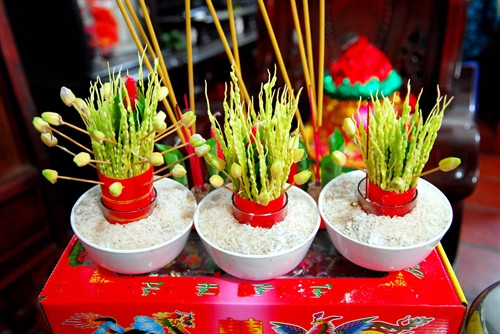 Hoa cau được buộc lại thành 3 bó nhỏ, bó thứ nhất có ý nghĩa tạ ơn công ơn cha, bó thứ hai để tạ ơn mẹ, bó thứ ba để tạ ơn anh chị. Hoa cau được buộc lại thành 3 bó nhỏ, bó thứ nhất có ý nghĩa tạ ơn công ơn cha, bó thứ hai để tạ ơn mẹ, bó thứ ba để tạ ơn anh chị.