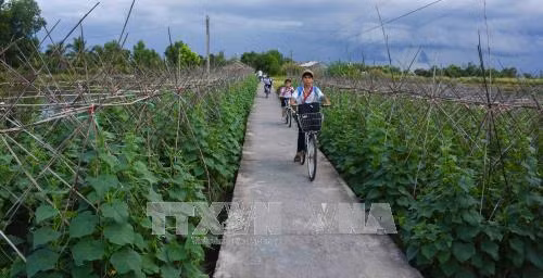 Đời sống, sinh hoạt của người dân tại các vùng nông thôn được nâng cao nhờ sự đầu tư và phát triển đồng bộ hạ tầng giao thông. Ảnh: Huỳnh Thế Anh - TTXVN