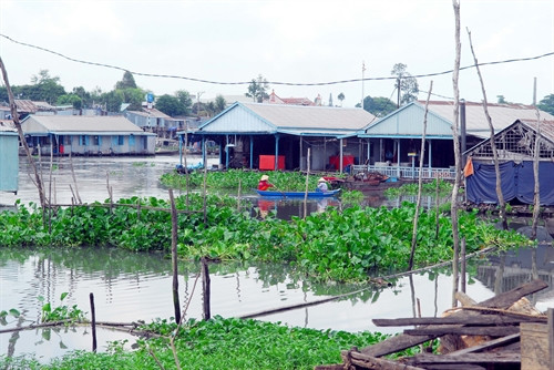 Những chiếc bè cá có diện tích từ 60-100m2, phía dưới là lồng nuôi cá, phần trên là nhà để ở. Những chiếc bè cá có diện tích từ 60-100m2, phía dưới là lồng nuôi cá, phần trên là nhà để ở.