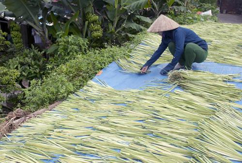 Nón làng Chuông - Nét đẹp văn hóa Việt ảnh 15 Nón làng Chuông - Nét đẹp văn hóa Việt ảnh 15