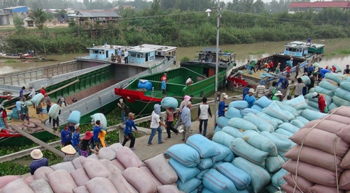 Bốc xếp hàng hóa ở cửa khẩu quốc tế Dinh Bà (tỉnh Đồng Tháp)