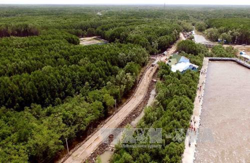 Toàn cảnh Khu Công viên văn hóa – Du lịch Mũi Cà Mau. Ảnh: An Hiếu – TTXVN