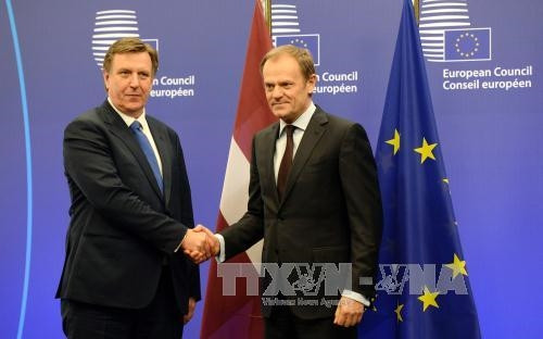Chủ tịch Hội đồng châu Âu Donald Tusk (phải) trong cuộc gặp Thủ tướng Latvia Maris Kucinskis trước Hội nghị tại Brussels, Bỉ. AFP/TTXVN Chủ tịch Hội đồng châu Âu Donald Tusk (phải) trong cuộc gặp Thủ tướng Latvia Maris Kucinskis trước Hội nghị tại Brussels, Bỉ. AFP/TTXVN