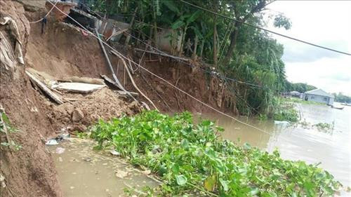 Khu vực sạt lở tại khu vực tổ 13 và 14 thuộc ấp Quốc Khánh (phía trên bến đò Cây Me), xã Quốc Thái huyện An Phú, tỉnh An Giang. Ảnh: Công Mạo - TTXVN Khu vực sạt lở tại khu vực tổ 13 và 14 thuộc ấp Quốc Khánh (phía trên bến đò Cây Me), xã Quốc Thái huyện An Phú, tỉnh An Giang. Ảnh: Công Mạo - TTXVN