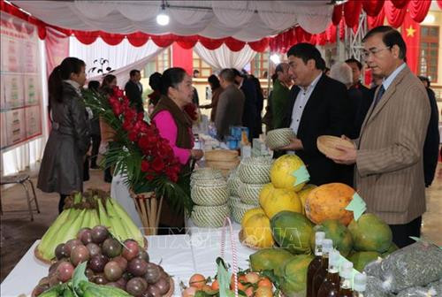 Gian hàng giới thiệu sản phẩm nông nghiệp và thủ công mỹ nghệ của xã Tân Vinh. Ảnh: Nhan Sinh- TTXVN Gian hàng giới thiệu sản phẩm nông nghiệp và thủ công mỹ nghệ của xã Tân Vinh. Ảnh: Nhan Sinh- TTXVN