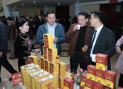 Khách tham quan gian hàng trưng bày sản phẩm OCOP - BK 2018. Ảnh: Vũ Hoàng Giang - TTXVN Khách tham quan gian hàng trưng bày sản phẩm OCOP - BK 2018. Ảnh: Vũ Hoàng Giang - TTXVN