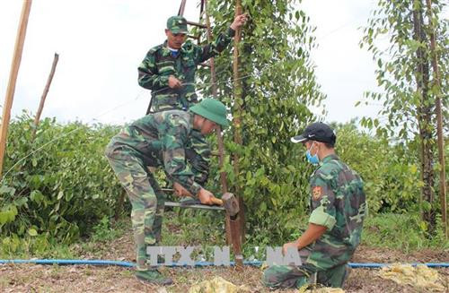 Lực lượng vũ trang đã chung tay giúp người dân sửa lại nhà ở, dựng trụ tiêu bị ngã đổ do thiên tai tại huyện Bù Đốp (tỉnh Bình Phước). Ảnh: K GửiH