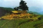 Làm ngói là một trong những nghề thủ công của người Giáy ở Hà Giang. Ngói Âm dương (ngói máng) được tạo dáng bằng bàn xoay tạo hình ống, phơi khô rồi cắt lát trước khi đưa vào lò nung. Làm ngói là một trong những nghề thủ công của người Giáy ở Hà Giang. Ngói Âm dương (ngói máng) được tạo dáng bằng bàn xoay tạo hình ống, phơi khô rồi cắt lát trước khi đưa vào lò nung.