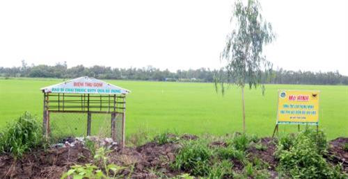 Mô hình canh tác lúa thông minh ứng phó với biến đổi khí hậu vụ Hè Thu. Ảnh minh họa: Lê Huy Hải - TTXVN Mô hình canh tác lúa thông minh ứng phó với biến đổi khí hậu vụ Hè Thu. Ảnh minh họa: Lê Huy Hải - TTXVN