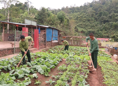 Cán bộ, chiến sĩ Đội sản xuất và xây dựng cơ sở chính trị số 7 chăm lo sản xuất. Cán bộ, chiến sĩ Đội sản xuất và xây dựng cơ sở chính trị số 7 chăm lo sản xuất.