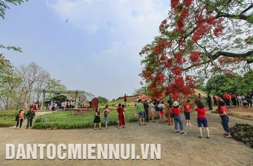 Du khách tham quan tại Khu di tích Đồi A1. Ảnh: Xuân Tư Du khách tham quan tại Khu di tích Đồi A1. Ảnh: Xuân Tư