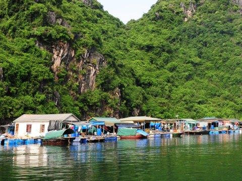 Làng chài Cửa Vạn - Vịnh Hạ Long hàng năm đón hàng chục nghìn lượt khách tham quan. Ảnh: TTXVN Làng chài Cửa Vạn - Vịnh Hạ Long hàng năm đón hàng chục nghìn lượt khách tham quan. Ảnh: TTXVN