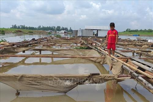 Những bè dùng để nuôi cá nay trống trơn, có hộ treo lên, có hộ phải bán bè để trả nợ. Ảnh: Lê Xuân-TTXVN Những bè dùng để nuôi cá nay trống trơn, có hộ treo lên, có hộ phải bán bè để trả nợ. Ảnh: Lê Xuân-TTXVN