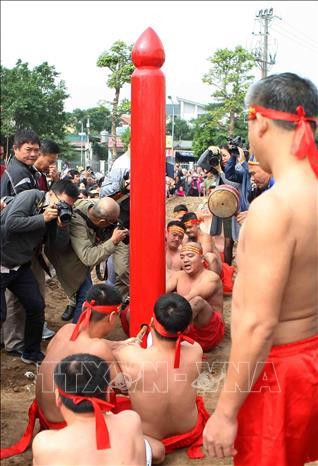 Khi có hiệu lệnh “bắt đầu” các trai kéo dồn hết sức lực để kéo. Ảnh: Thanh Tùng-TTXVN Khi có hiệu lệnh “bắt đầu” các trai kéo dồn hết sức lực để kéo. Ảnh: Thanh Tùng-TTXVN