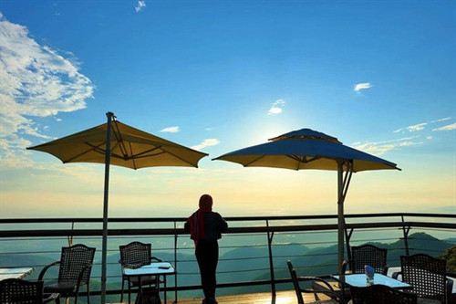 Ngỡ ngàng "đưa tay vờn mây" ở Tam Đảo ảnh 4