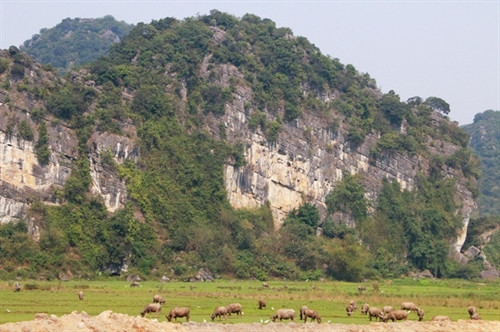 Chiêm ngưỡng vẻ đẹp lung linh của "dải ngân hà trong lòng núi" ảnh 2