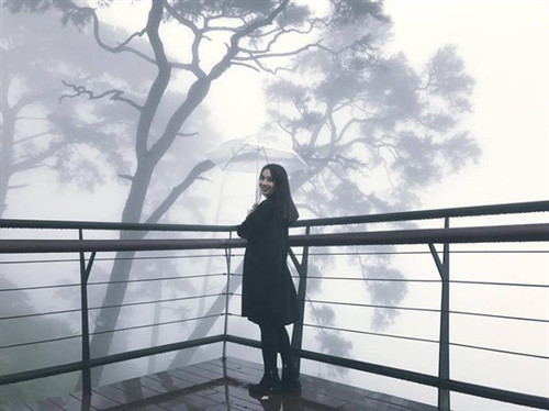 Ngỡ ngàng "đưa tay vờn mây" ở Tam Đảo ảnh 3