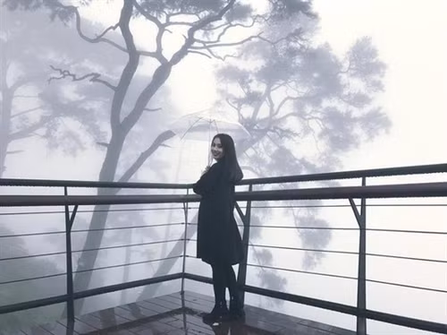 Ngỡ ngàng "đưa tay vờn mây" ở Tam Đảo ảnh 3