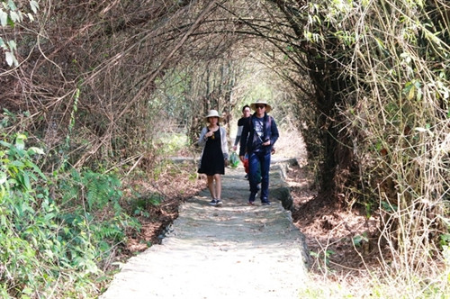 Chiêm ngưỡng vẻ đẹp lung linh của "dải ngân hà trong lòng núi" ảnh 4