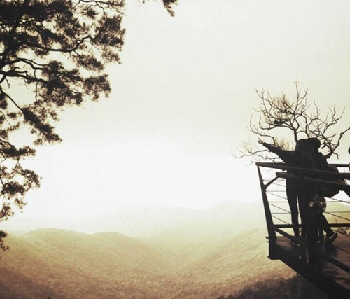 Ngỡ ngàng "đưa tay vờn mây" ở Tam Đảo ảnh 5