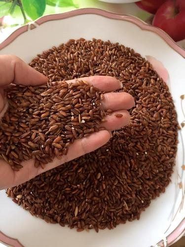 Mê mẩn món phở gà gạo lứt Bắc Hà ảnh 1