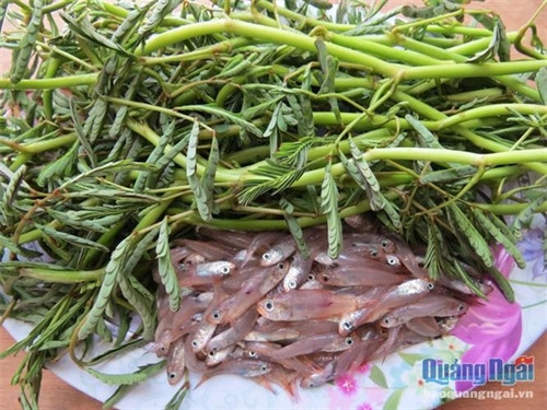 Cá man man - món ngon của mảnh đất miền Trung ảnh 2 Cá man man - món ngon của mảnh đất miền Trung ảnh 2