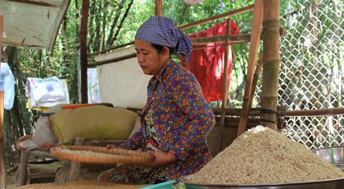 Sàng sảy cốm để chuẩn bị cốm dẹp cho mùa Lễ hội Ok Om Bok. Ảnh: Chanh Đa - TTXVN Sàng sảy cốm để chuẩn bị cốm dẹp cho mùa Lễ hội Ok Om Bok. Ảnh: Chanh Đa - TTXVN