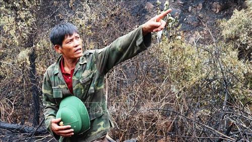 Ông Đậu Văn Tiến (trú tại xóm 8, xã Xuân Phổ, huyện Nghi Xuân, Hà Tĩnh) được ví như người hùng mở đường băng cản lửa cứu rừng. Ảnh: Hoàng Ngà - TTXVN Ông Đậu Văn Tiến (trú tại xóm 8, xã Xuân Phổ, huyện Nghi Xuân, Hà Tĩnh) được ví như người hùng mở đường băng cản lửa cứu rừng. Ảnh: Hoàng Ngà - TTXVN