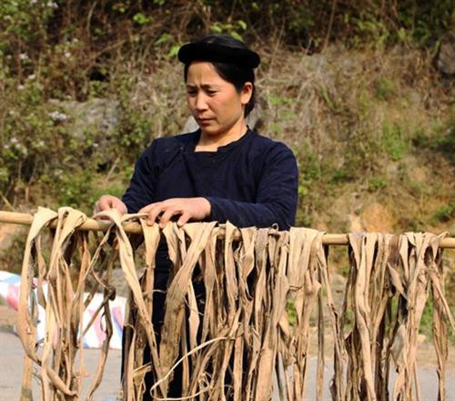 Vỏ cây dưỡng được tách sạch sau đó phơi khô. Vỏ cây dưỡng được tách sạch sau đó phơi khô.