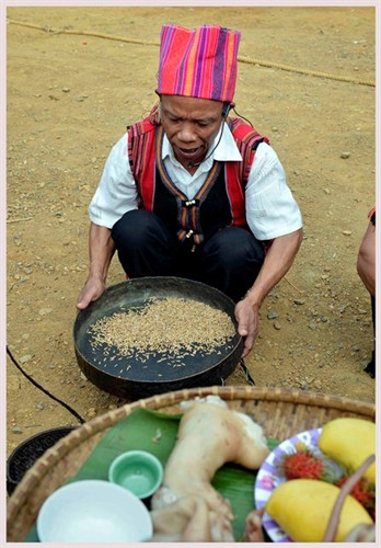 Già làng Hồ Văn Hạnh thực hành nghi thức đánh thức hạt giống. Già làng Hồ Văn Hạnh thực hành nghi thức đánh thức hạt giống.