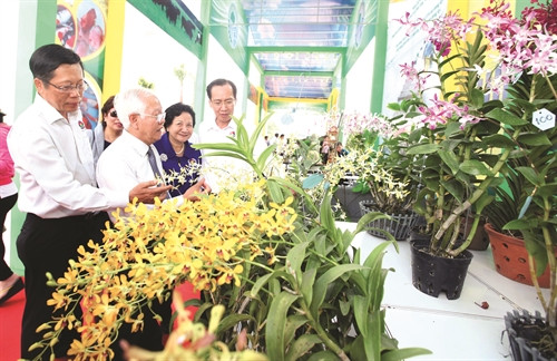 Lãnh đạo Thành phố Hồ Chí Minh tham quan Triển lãm giống nông nghiệp Thành phố Hồ Chí Minh năm 2015 (Ảnh: Mạnh Linh - Phương Vi)