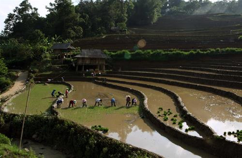 Người dân lấy nước vào ruộng chuẩn bị cho vụ lúa mới tại xã Tả Lèng, huyện Tam Đường tỉnh Lai Châu. Ảnh: Quý Trung - TTXVN Để có những thửa ruộng bậc thang chạy dài uốn quanh sườn núi là công sức của bao đời của nhân dân các vùng núi cao. Ảnh: Quý Trung - TTXVN Người dân tập trung cấy trên những cánh đồng đã đầy no nước trời tại xã Tả Lèng huyện Tam Đường tỉnh Lai Châu. Ảnh: Quý Trung - TTXVN Nhiều hộ dân có điều kiện đầu tư máy cầy để phục vụ cho một vụ mùa mới. Ảnh: Quý Trung - TTXVN Những cơn mưa lớn mang dòng nước nguồn từ trên các ngọn núi đổ xuống những ruộng bậc thang tạo thành những vệt màu đa sắc, càng làm sống động bức tranh bình dị của xã Tà Lèng, huyện Tam Đường tỉnh Lai Châu. Ảnh: Quý Trung - TTXVN Người dân lấy nước vào ruộng chuẩn bị cho vụ lúa mới tại xã Tả Lèng, huyện Tam Đường tỉnh Lai Châu. Ảnh: Quý Trung - TTXVN Để có những thửa ruộng bậc thang chạy dài uốn quanh sườn núi là công sức của bao đời của nhân dân các vùng núi cao. Ảnh: Quý Trung - TTXVN Người dân tập trung cấy trên những cánh đồng đã đầy no nước trời tại xã Tả Lèng huyện Tam Đường tỉnh Lai Châu. Ảnh: Quý Trung - TTXVN Nhiều hộ dân có điều kiện đầu tư máy cầy để phục vụ cho một vụ mùa mới. Ảnh: Quý Trung - TTXVN Những cơn mưa lớn mang dòng nước nguồn từ trên các ngọn núi đổ xuống những ruộng bậc thang tạo thành những vệt màu đa sắc, càng làm sống động bức tranh bình dị của xã Tà Lèng, huyện Tam Đường tỉnh Lai Châu. Ảnh: Quý Trung - TTXVN