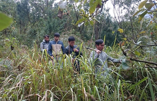 Tổ chuyên trách bảo vệ và phát triển rừng thôn bản thực hiện tuần tra rừng thường xuyên. Tổ chuyên trách bảo vệ và phát triển rừng thôn bản thực hiện tuần tra rừng thường xuyên.