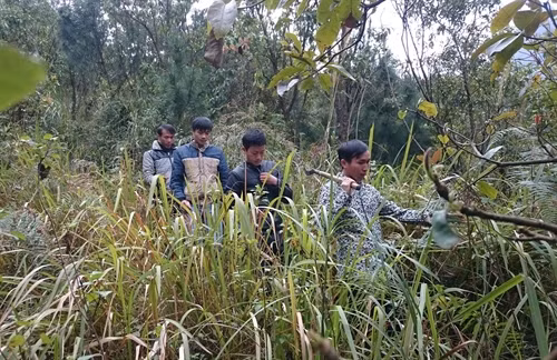 Tổ chuyên trách bảo vệ và phát triển rừng thôn bản thực hiện tuần tra rừng thường xuyên.