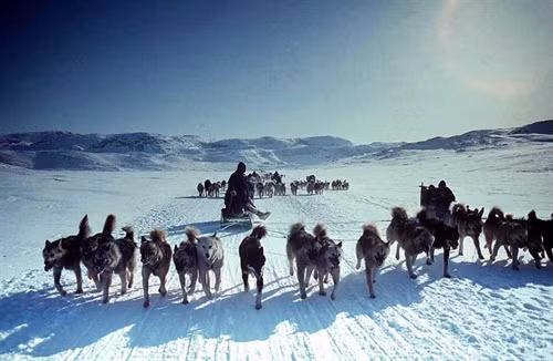 Cuộc sống ở nơi vùng cực của người Eskimo ảnh 8