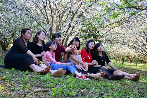 Những vườn hoa mận đã thu hút rất nhiều du khách đến thăm quan và chụp ảnh. Những vườn hoa mận đã thu hút rất nhiều du khách đến thăm quan và chụp ảnh.